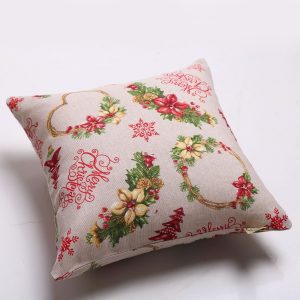 Merry Christmas cushion